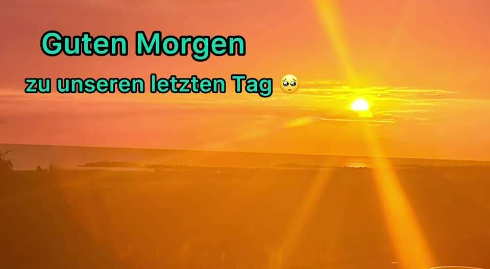 aktuelles Foto Gruppe Reisen mit Hund