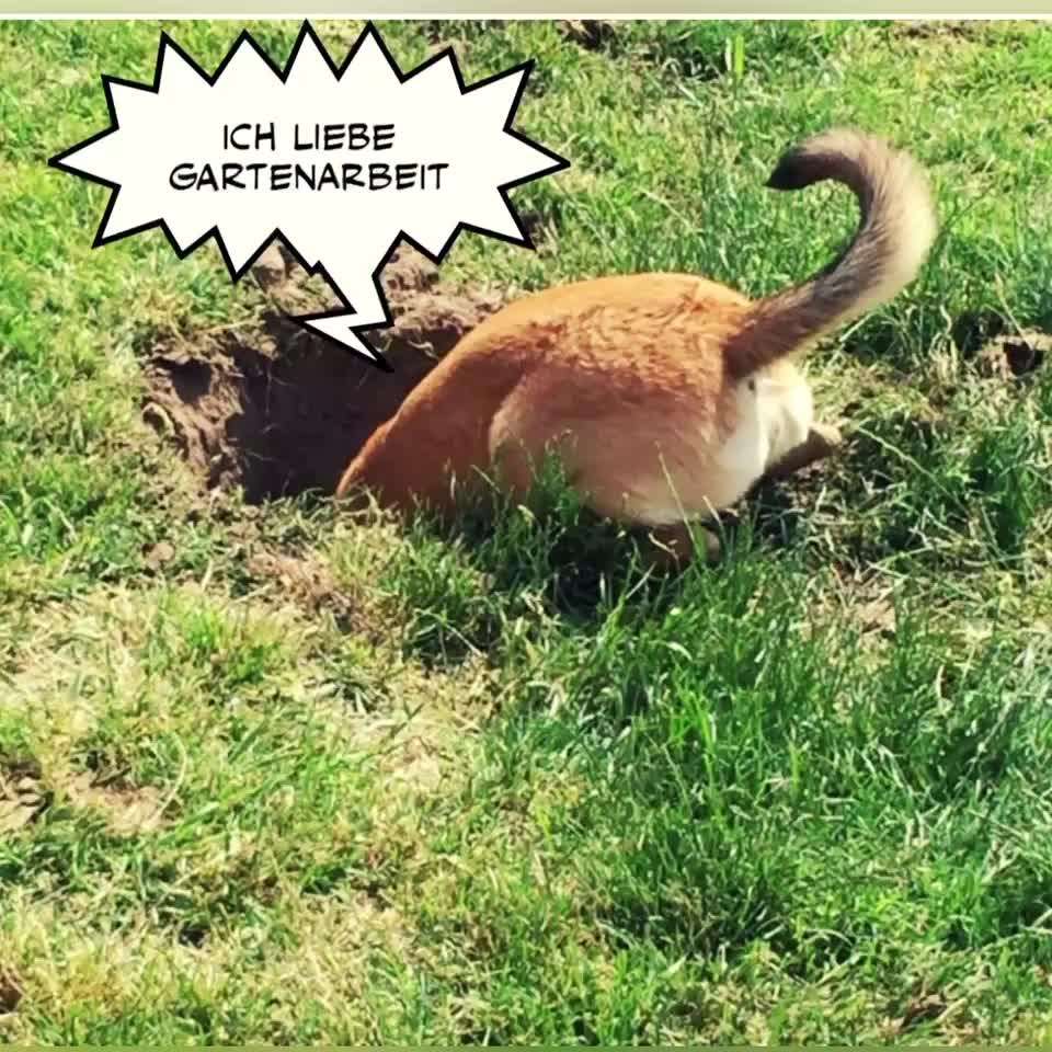 12. Kurzgeschichten-Challenge: Alltagshelfer-Beitrag-Bild