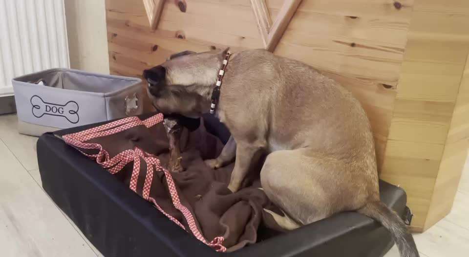 Video Challenge Nr. 4 - Lecker, Lecker-Beitrag-Bild