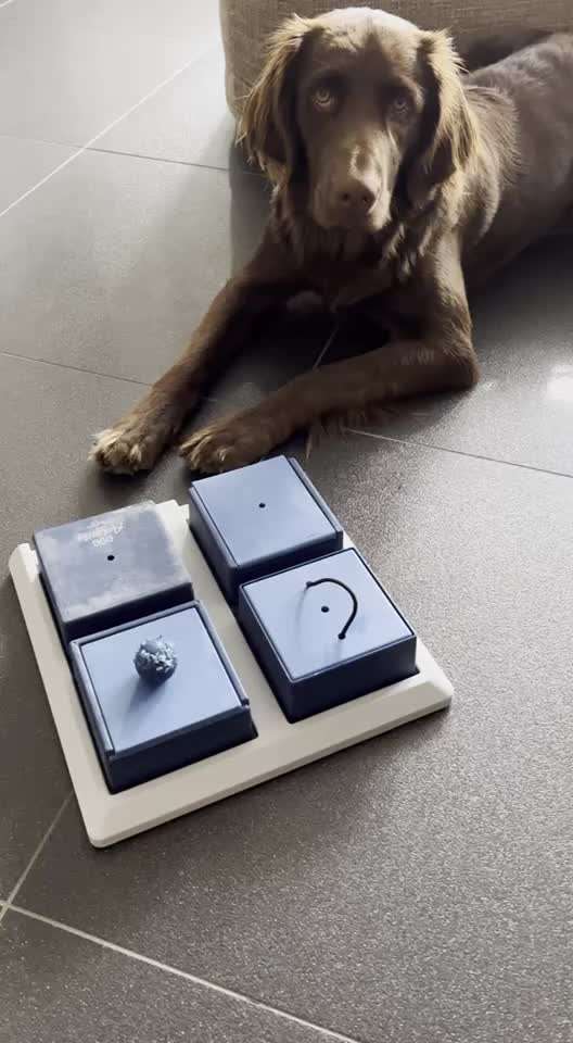 Geistige Förderung-Beitrag-Bild