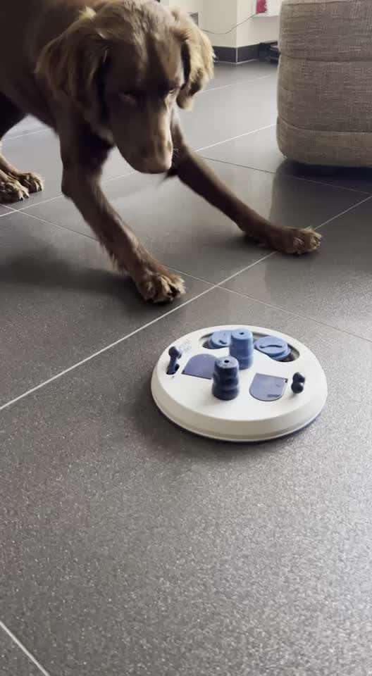 Geistige Förderung-Beitrag-Bild