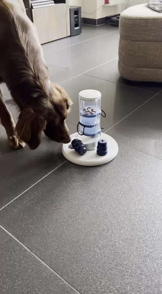 Geistige Förderung-Beitrag-Bild