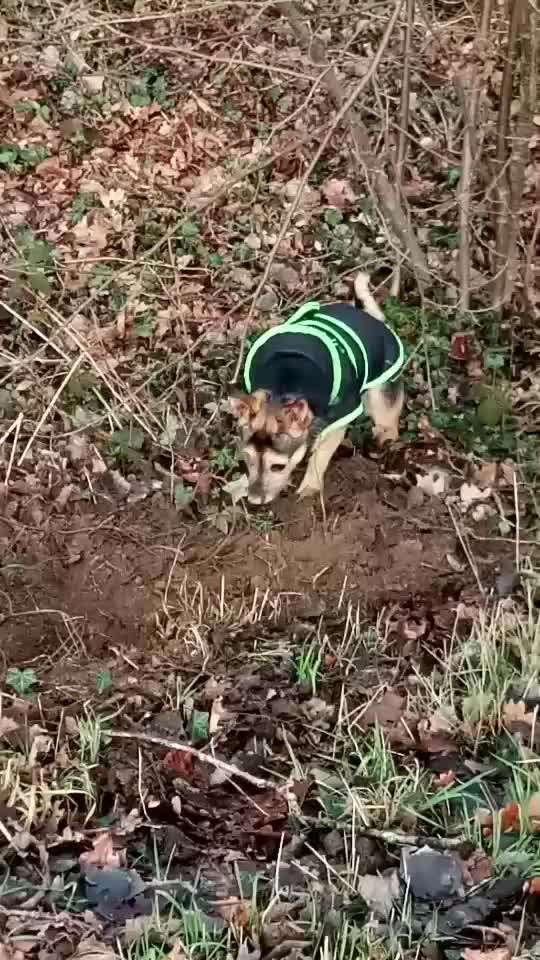 Zeigt mir eure Lieblingsfotos ♡♡-Beitrag-Bild