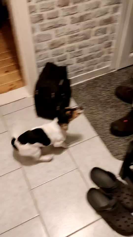 Jammern-Beitrag-Bild