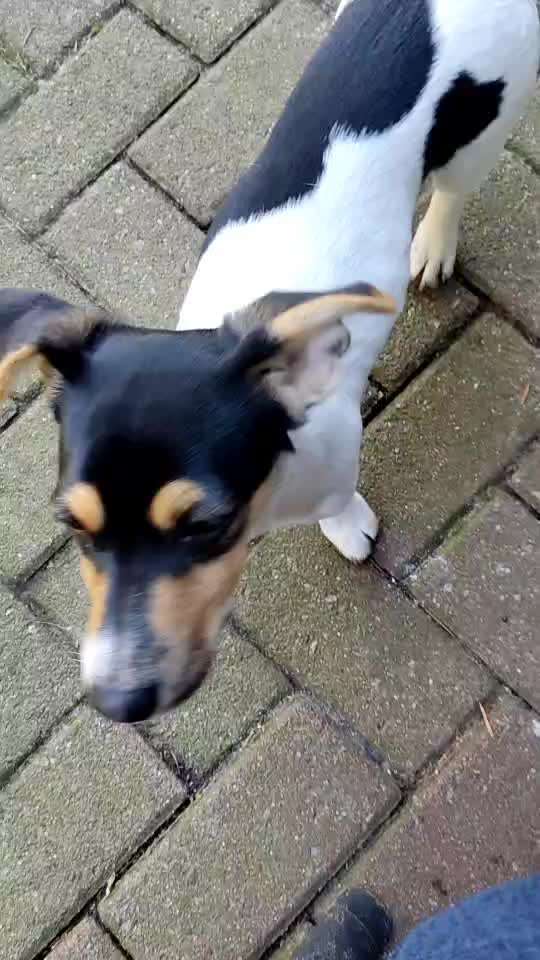 Jammern-Beitrag-Bild