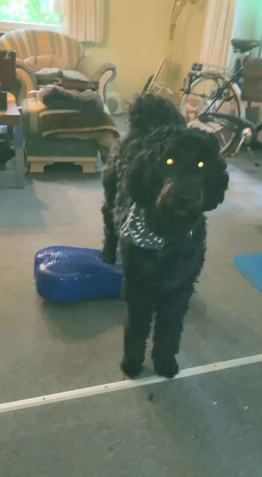 Freddys Kummerkasten-Beitrag-Bild