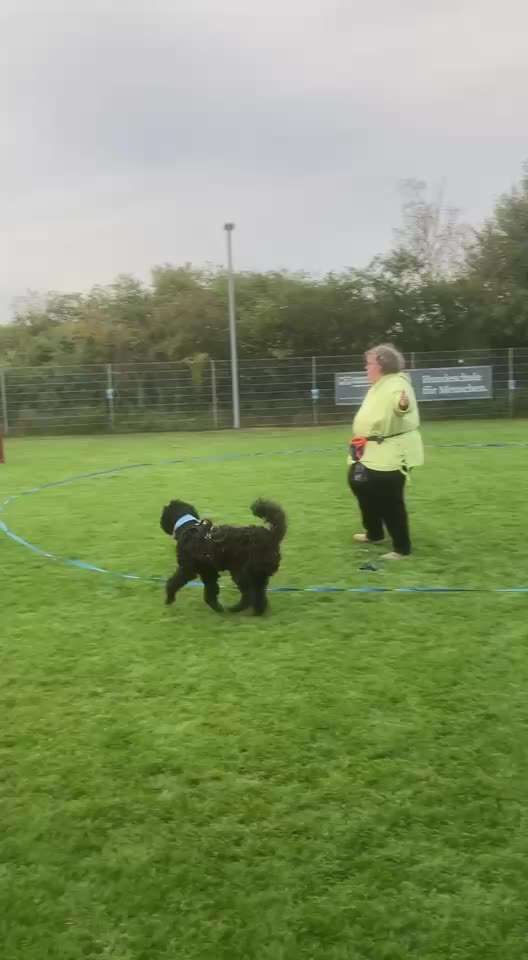 Freddys Kummerkasten-Beitrag-Bild