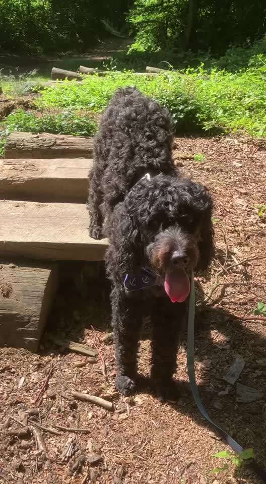 Freddys Kummerkasten-Beitrag-Bild