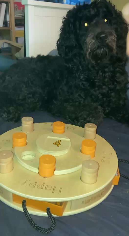 Freddys Kummerkasten-Beitrag-Bild