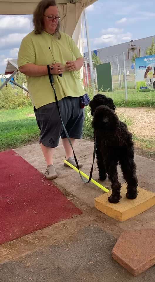 Freddys Kummerkasten-Beitrag-Bild