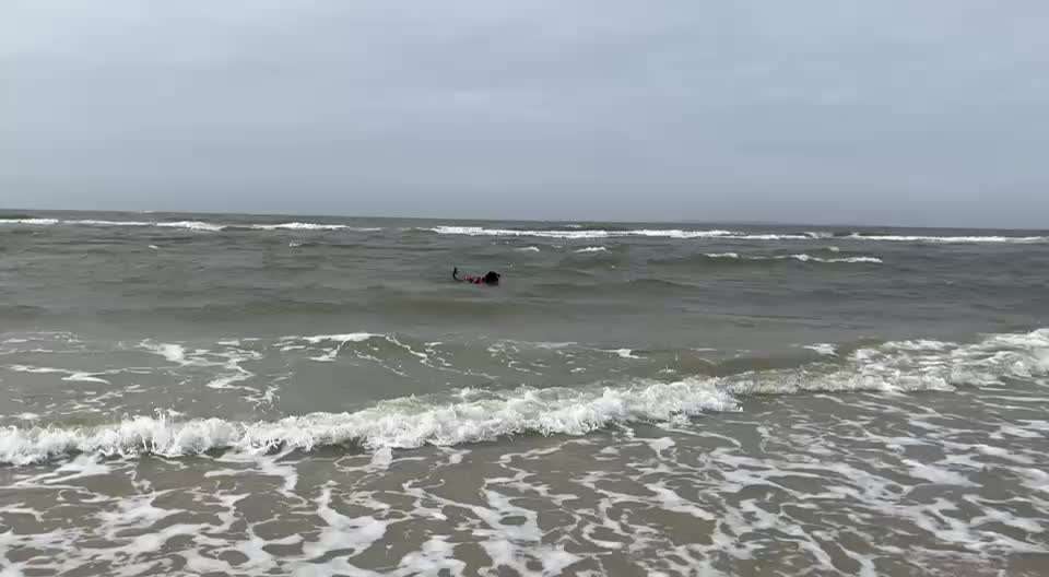 Freddys Kummerkasten-Beitrag-Bild