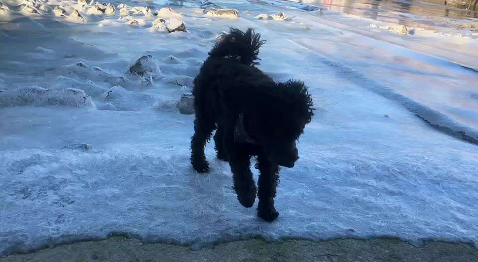 Freddys Kummerkasten-Beitrag-Bild