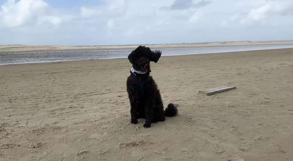 Freddys Kummerkasten-Beitrag-Bild