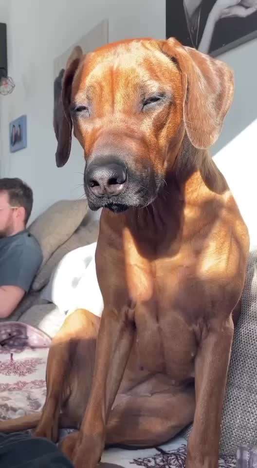 Foto Challenge Nr. 134-Beitrag-Bild