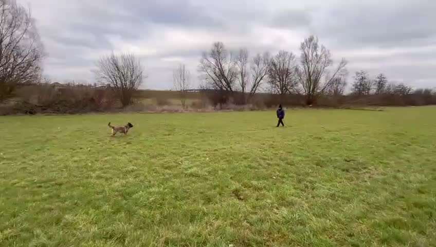 82. Trickspiel : Bleib!-Beitrag-Bild