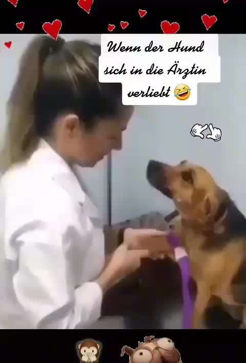 TierschutzhundeStammtisch🐕-Beitrag-Bild