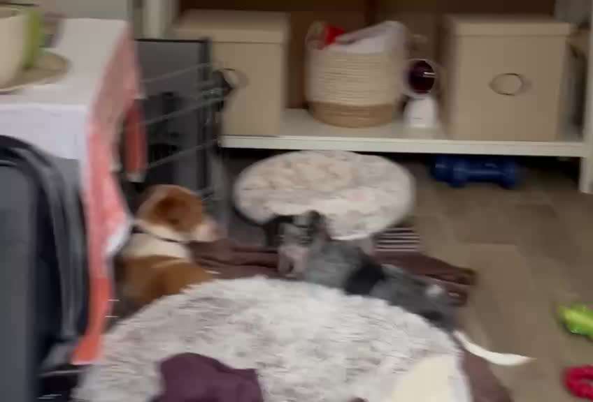 Analyse & Interpretation von Verhalten-Beitrag-Bild