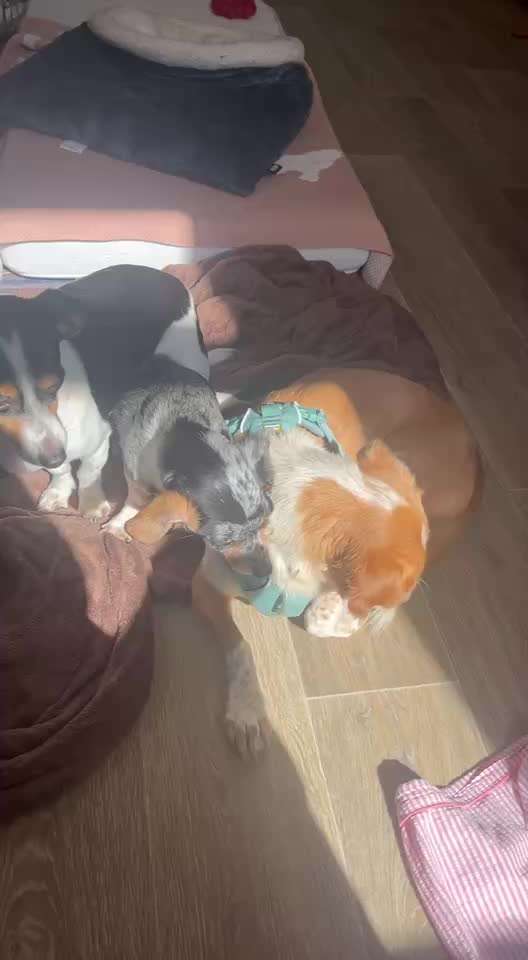 Was hat euch heute gefreut?-Beitrag-Bild