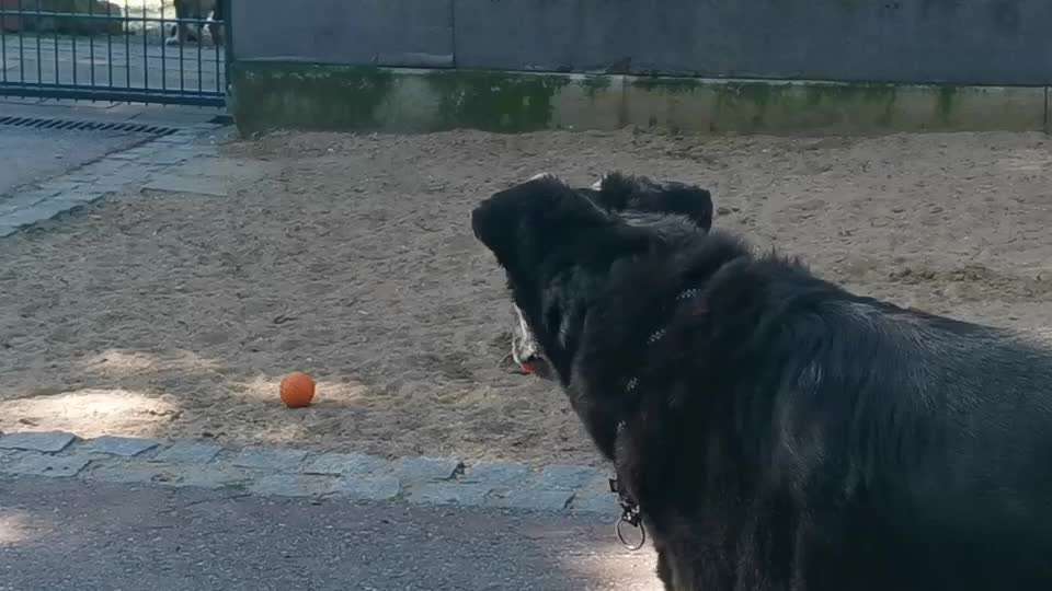 Analyse & Interpretation von Verhalten-Beitrag-Bild