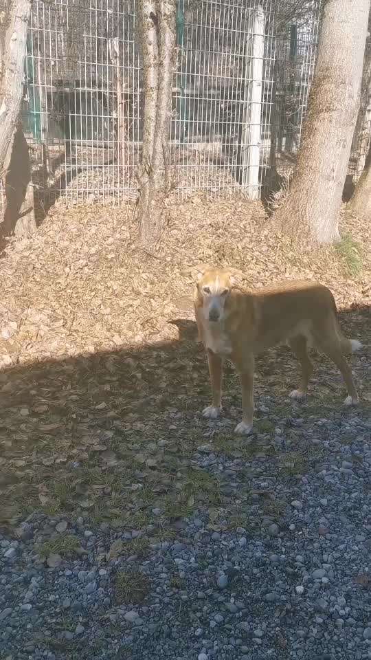 Analyse & Interpretation von Verhalten-Beitrag-Bild