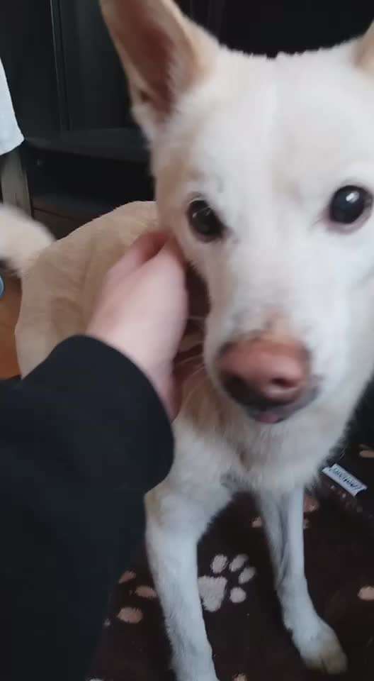 Analyse & Interpretation von Verhalten-Beitrag-Bild