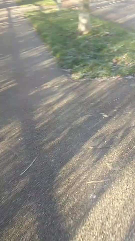 Nr. 64 Selbstständig warten zum Einleinen-Beitrag-Bild