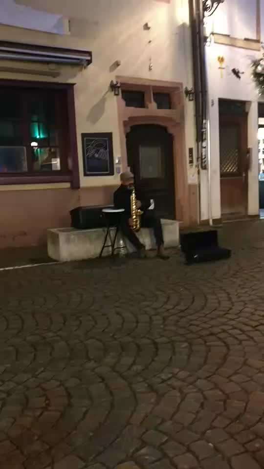 ✨ Hunde auf Weihnachtsmärkten – ja oder nein? ✨-Beitrag-Bild