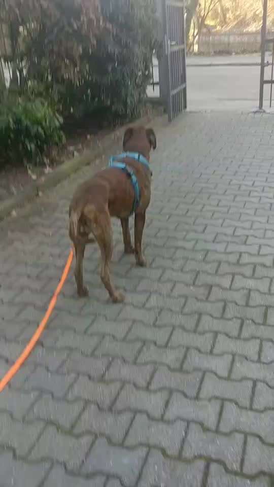 Nr. 64 Selbstständig warten zum Einleinen-Beitrag-Bild