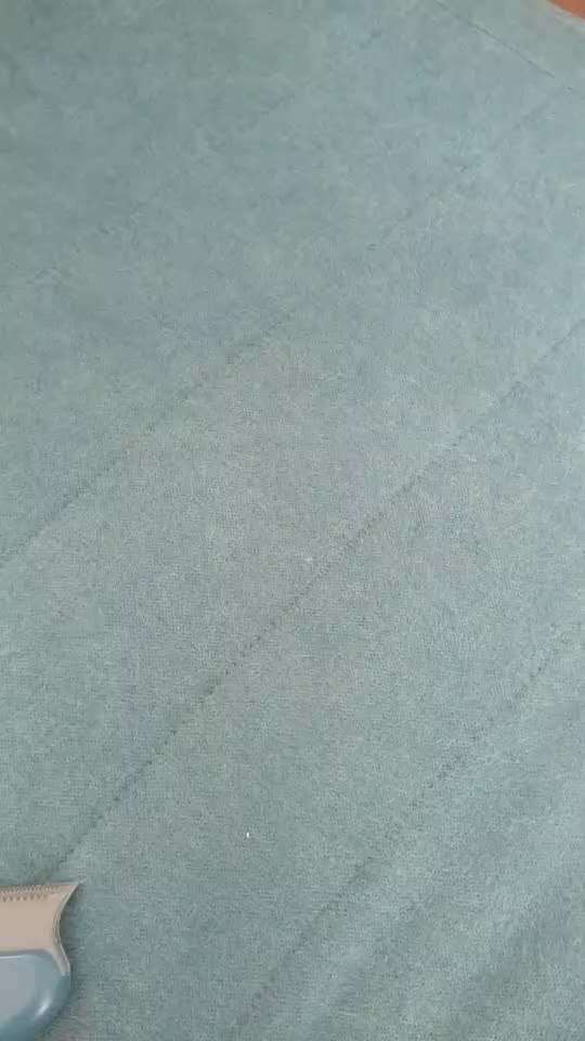 Tipps für Hundehaarentferner-Beitrag-Bild