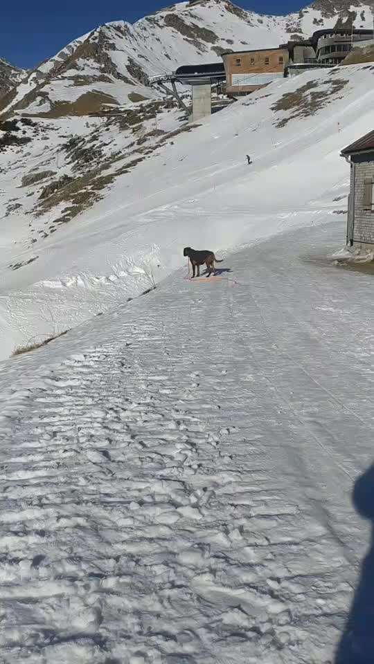 Was hat euch heute gefreut?-Beitrag-Bild