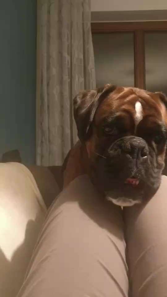 Kreuzband OP-Beitrag-Bild