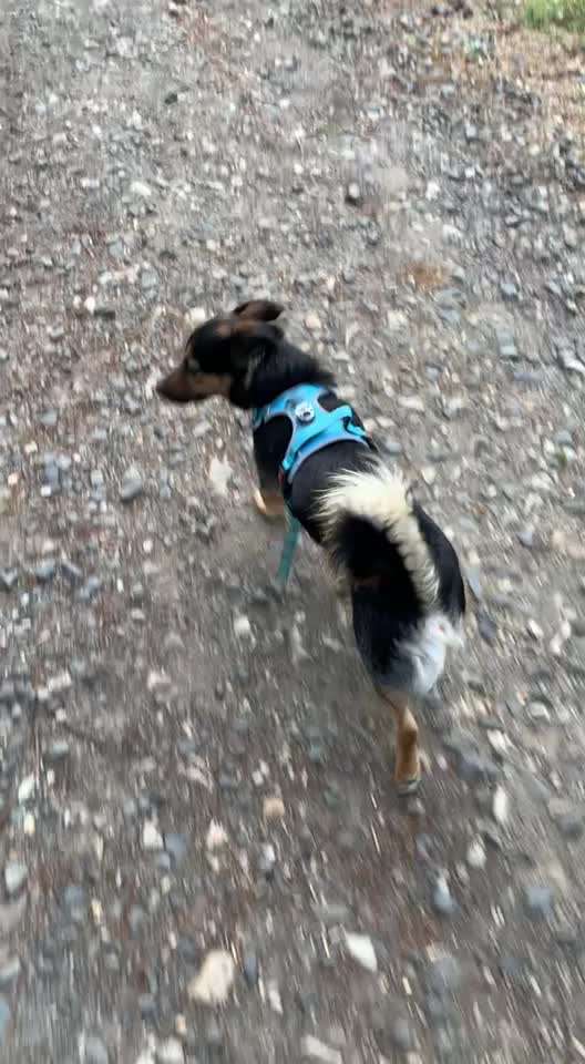 FUN AUFGABEN TOUR-Beitrag-Bild