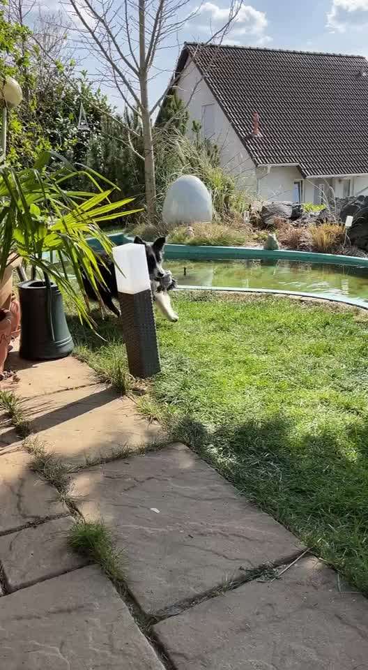 Hier ist der Spaßthread. Zum Schmunzeln und Kaputtlachen-Beitrag-Bild