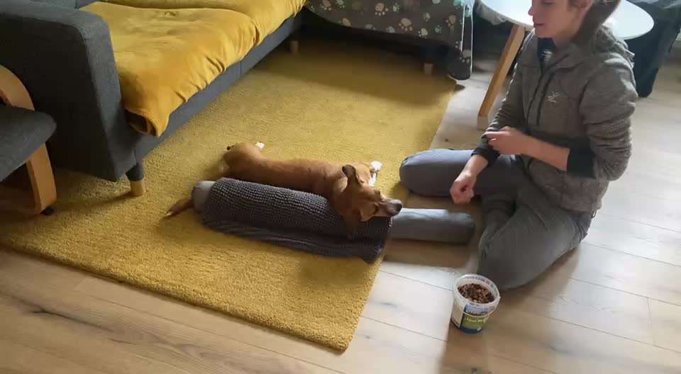 44. Impulskontrolle Callenge: ,,Essen ins Gesicht legen"-Beitrag-Bild