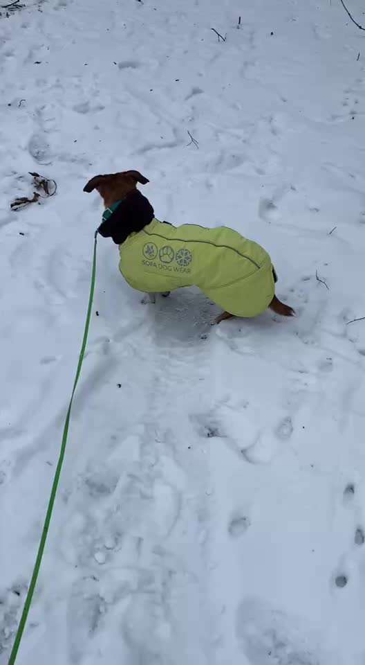 "Wege zur Freundschaft" (Ulli Reichmann)-Beitrag-Bild