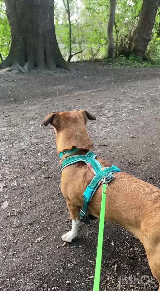 "Wege zur Freundschaft" (Ulli Reichmann)-Beitrag-Bild