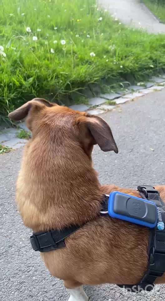 "Wege zur Freundschaft" (Ulli Reichmann)-Beitrag-Bild