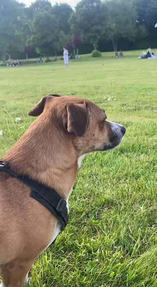 "Wege zur Freundschaft" (Ulli Reichmann)-Beitrag-Bild