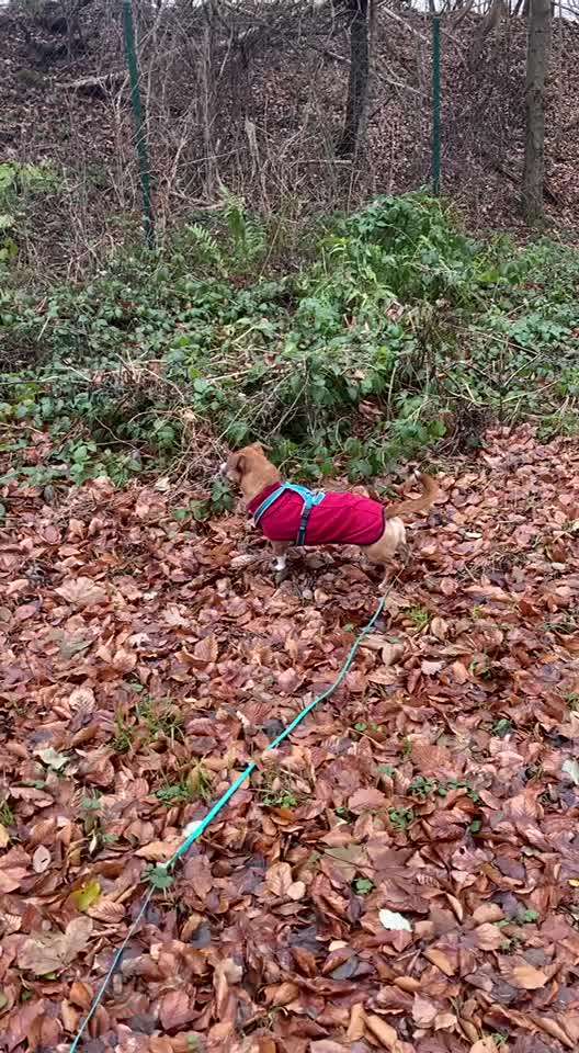 "Wege zur Freundschaft" (Ulli Reichmann)-Beitrag-Bild