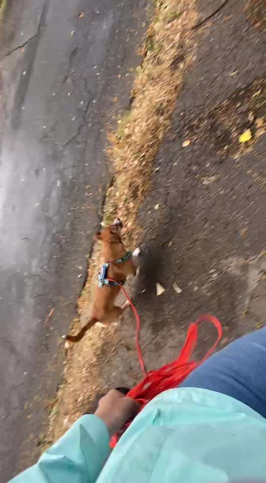 56. Impulskontrollchallenge : Ich warte auf dich !-Beitrag-Bild