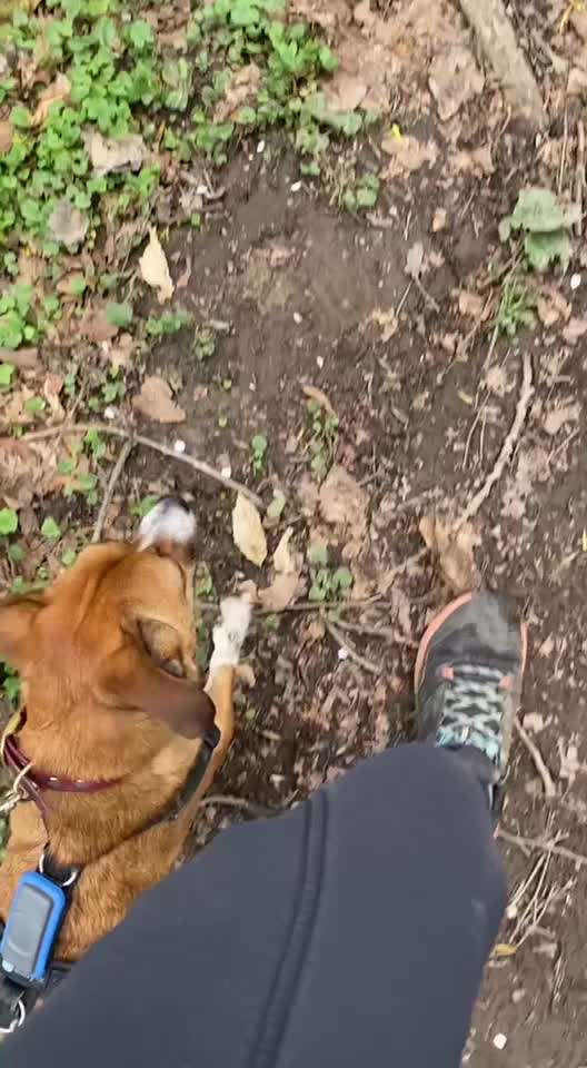 Was hat euch heute gefreut?-Beitrag-Bild