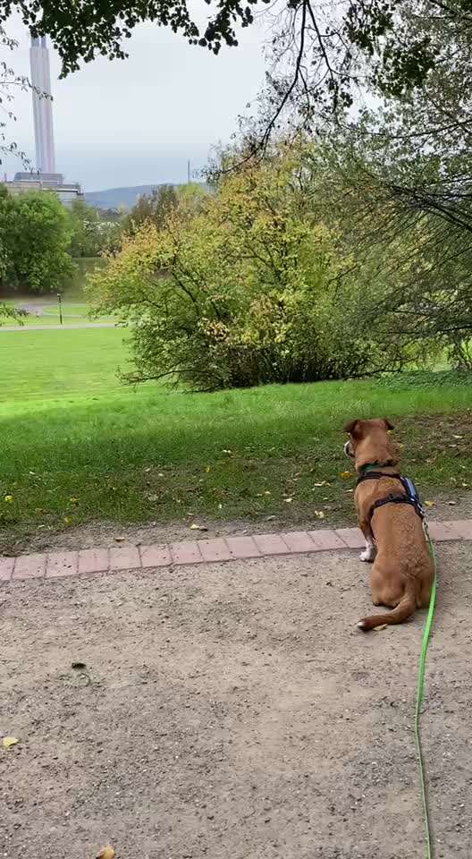 "Wege zur Freundschaft" (Ulli Reichmann)-Beitrag-Bild