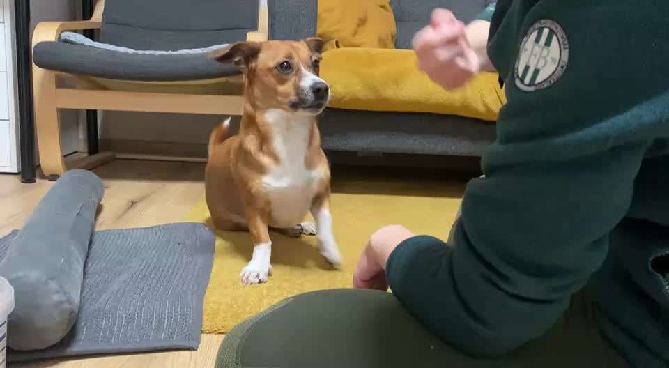 44. Impulskontrolle Callenge: ,,Essen ins Gesicht legen"-Beitrag-Bild