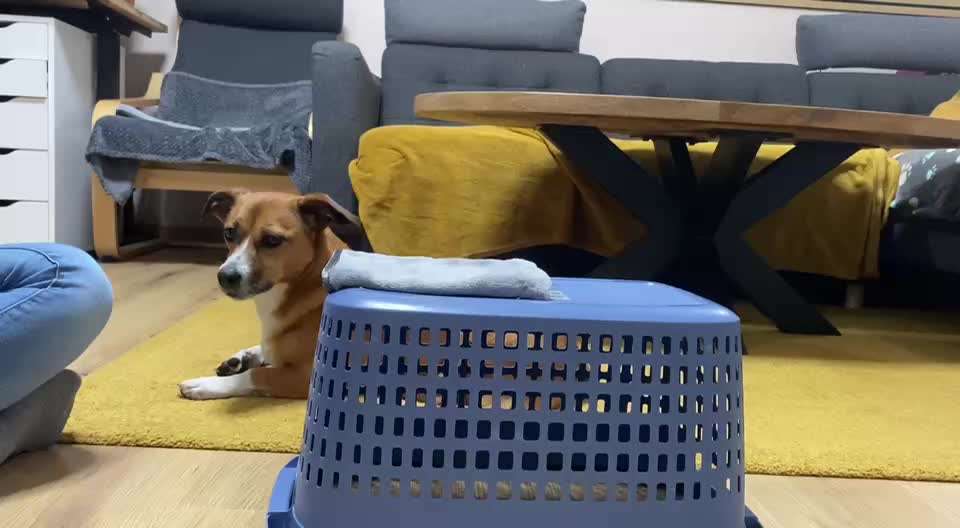 87. Trickchallenge: kinntarget-Beitrag-Bild