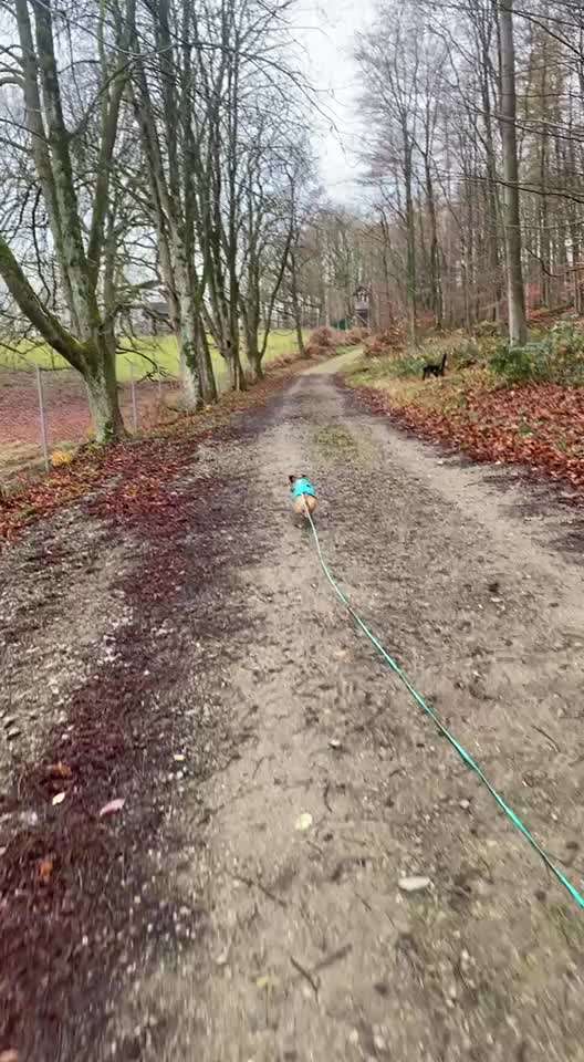 "Wege zur Freundschaft" (Ulli Reichmann)-Beitrag-Bild