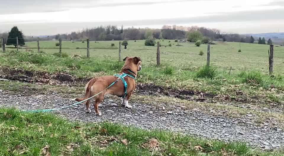 "Wege zur Freundschaft" (Ulli Reichmann)-Beitrag-Bild