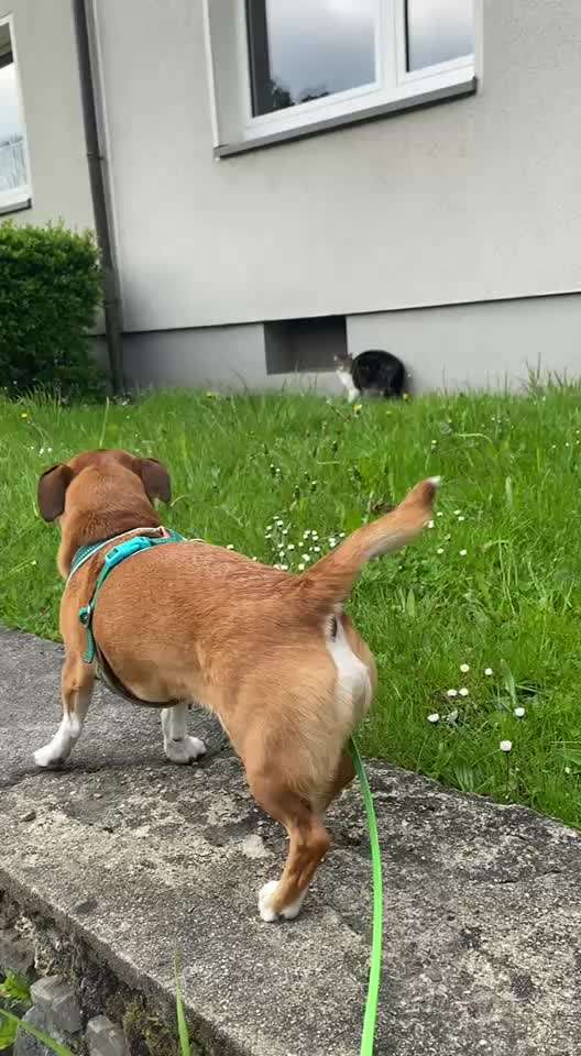 "Wege zur Freundschaft" (Ulli Reichmann)-Beitrag-Bild