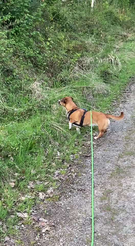 "Wege zur Freundschaft" (Ulli Reichmann)-Beitrag-Bild