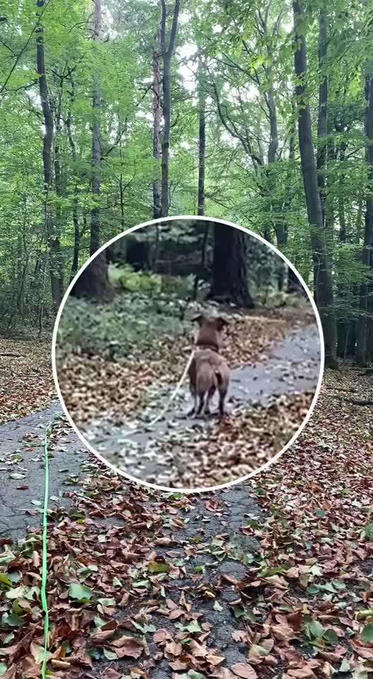 "Wege zur Freundschaft" (Ulli Reichmann)-Beitrag-Bild