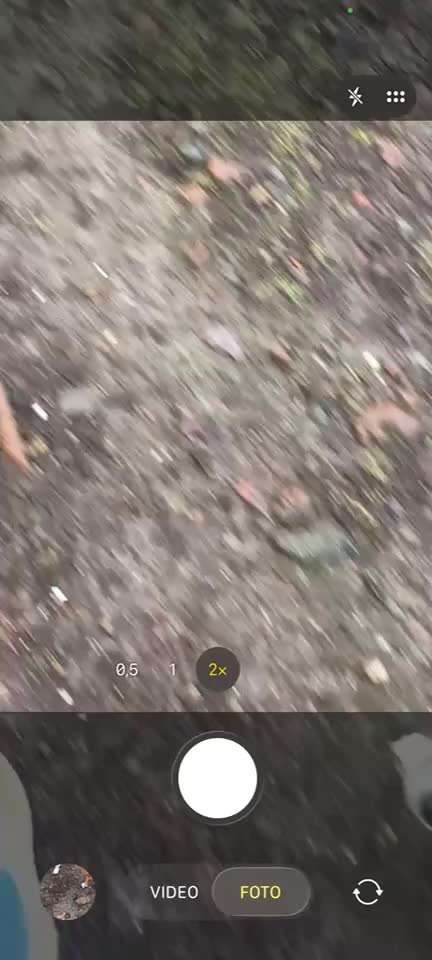 Impulskontrollübung 67: Laufbilder mit dem Hund 📸-Beitrag-Bild